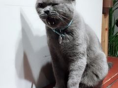 -小时光咖啡馆(开森度假森林店)