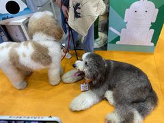 -郑州国际会展中心