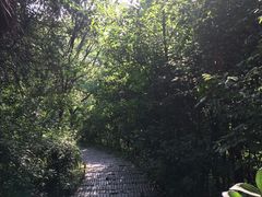 -第一山景区