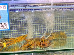-庆余生平价生猛海鲜(海棠湾林旺夜市店)