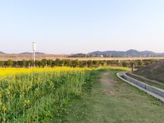 -光明小镇欢乐田园