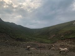 -橡皮山