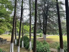 -岳麓山风景名胜区