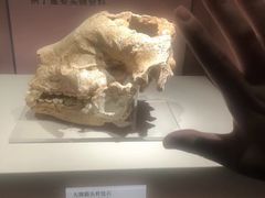 -咸宁市博物馆