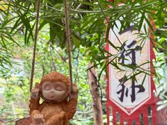 -呀路古热带植物园
