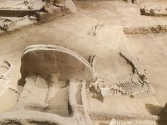 -洛阳周王城天子驾六博物馆