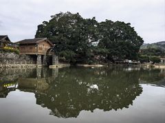 -福建土楼(南靖)景区