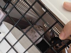 -艾贝尔宠物医院·狂犬免疫点(江山金象城店)