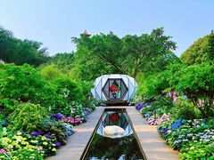 -深圳仙湖植物园
