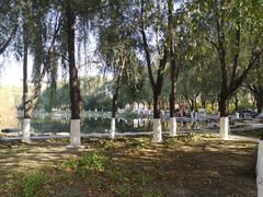 -吉林大学(前卫南区)