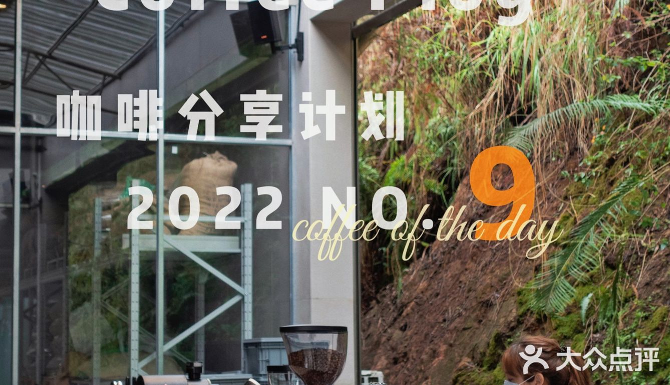 100家咖啡店分享｜9