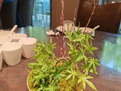 -品味居·首店·大连鲜活海鲜大连菜(东港店)
