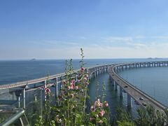 -星海湾跨海大桥