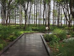 -渤公岛生态公园