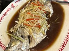 -中国城银都鱼翅酒楼