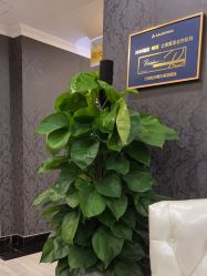 -深圳阳光医疗美容医院·旗舰店