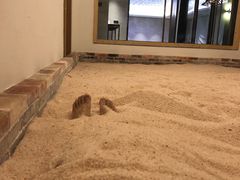 -红星坪温泉精品酒店