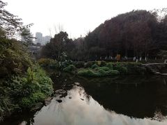 -重庆彩云湖湿地公园