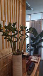 -肥三针腧穴瘦身馆