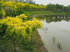 -东郊湿地公园