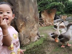 -华雅花园大酒店