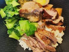 -MR鹅外