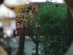 -拙政园