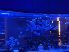 -上和臻品中国菜(花园街店)