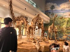 -自贡恐龙博物馆