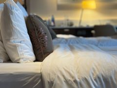 -广州白天鹅宾馆