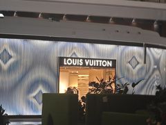 -LV路易威登(大兴国际机场店)