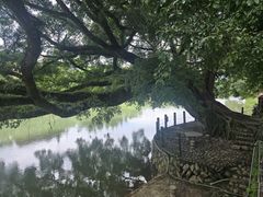 -福建土楼（南靖）云水谣景区-和贵楼