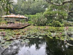 -海南热带野生动植物园