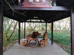 -海南热带野生动植物园