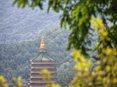 -八大处公园