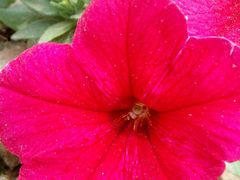 外景-河南省黄河迎宾馆