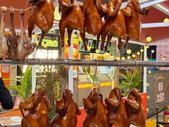 -VT101维多利广场