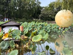 -北陵公园
