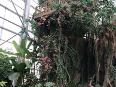 -祥源·阜阳生态乐园