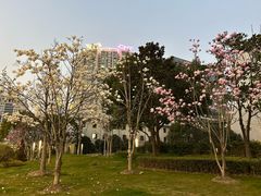 -上海电影博物馆