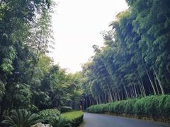 -苏州环秀晓筑养生度假村