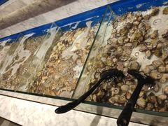 -火锅岛潮牌自助餐厅(天津天佑城店)