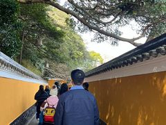 -普陀山慧济禅寺