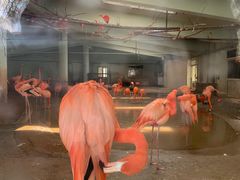 -石家庄市动物园