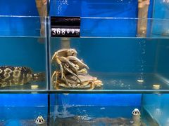 水产区-东极岛海鲜