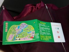 -广东茂名森林公园