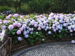 -常州古运河南大街文化旅游区-人民公园
