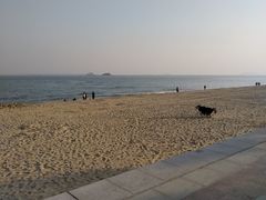 -八婆婆烧仙草(曾厝垵店)