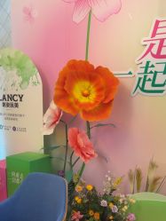 -武汉五洲整形外科医院