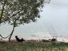 -东梓关景区村庄